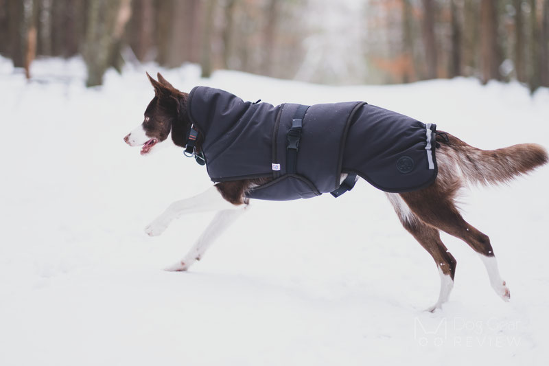 Canelana Thermo Coat Review | Dog Gear Review