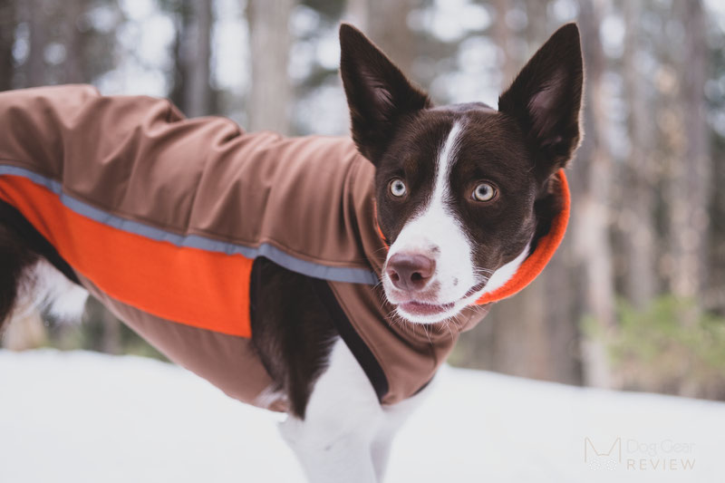 Csinieb Sport Jacket Review | Dog Gear Review