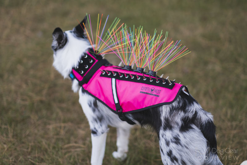  CoyoteVest SpikeVest Dog Harness Vest, Reflective Dog