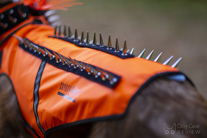 Coyote Vest - SpikeVest Review | Dog Gear Review