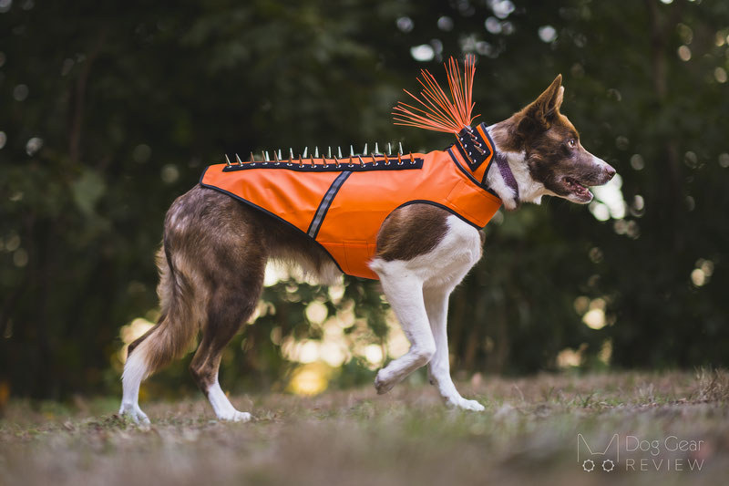 Dog safety vest discount with spikes