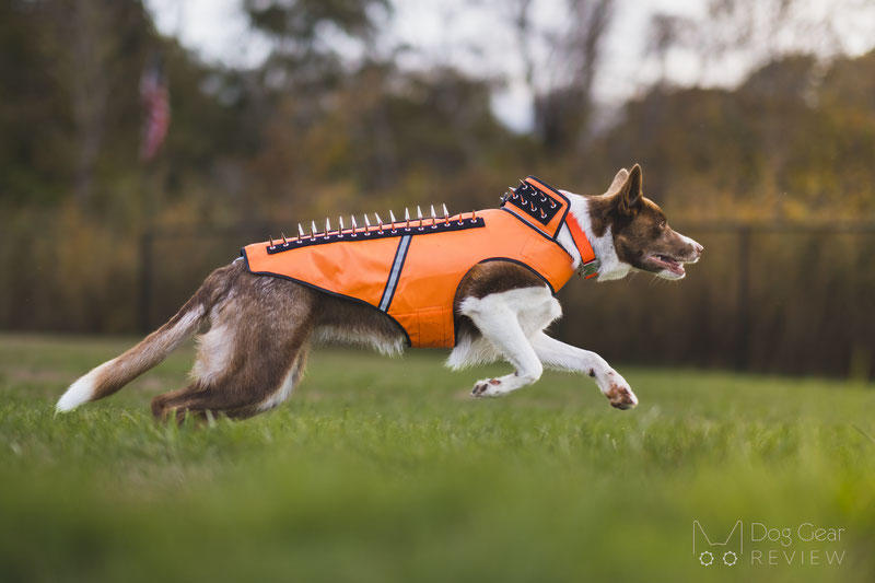 Coyote best sale proof vest