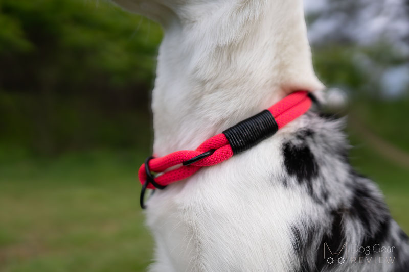 Cross Winds Leather Leash and Collar Review | Dog Gear Review