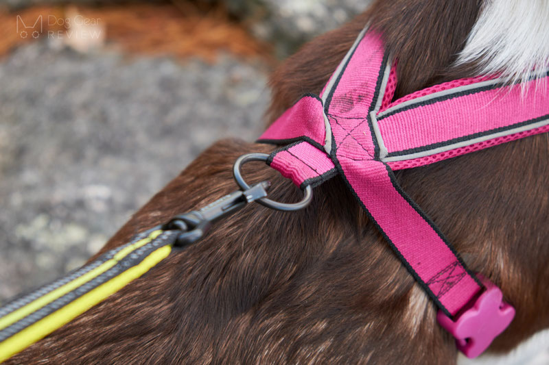 Didog Y-Front Harness Review | Dog Gear Review