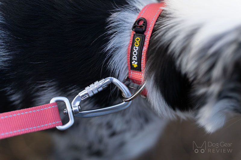 DogGo Hands-Free Leash Set Review | Dog Gear Review