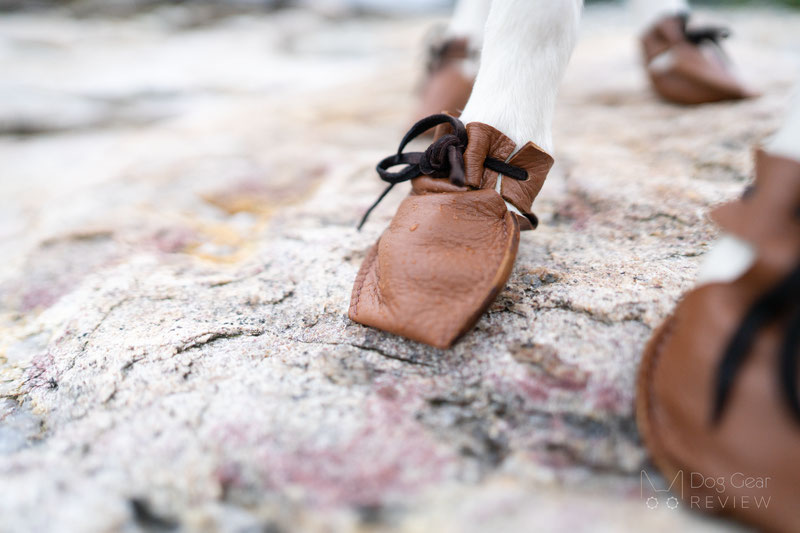  Dog Mocs Review | Dog Gear Review