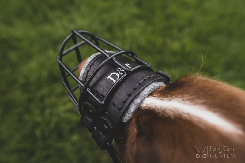 Dean & Tyler Freedom Winter Muzzle Review | Dog Gear Review