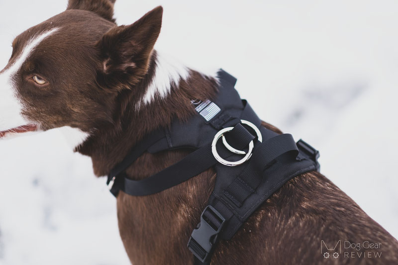 DUO 'American Adapt' Security Dog Harness Review | Dog Gear Review