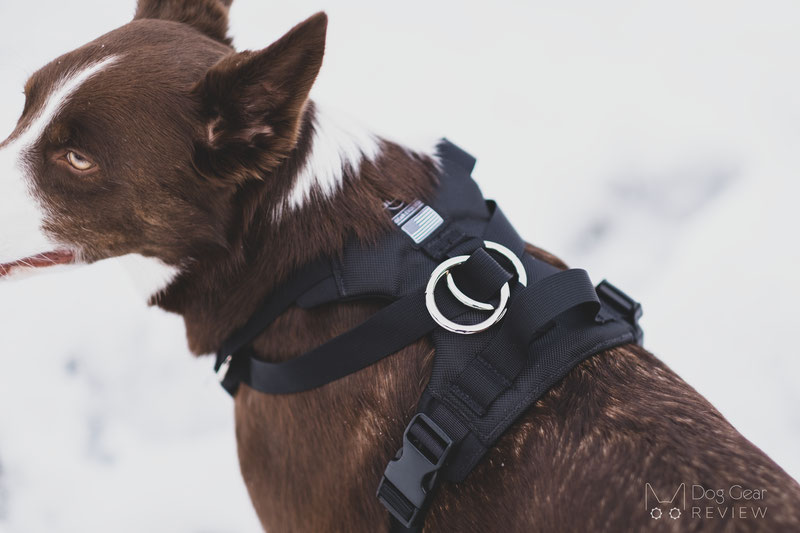 DUO American Adapt Security Dog Harness Review