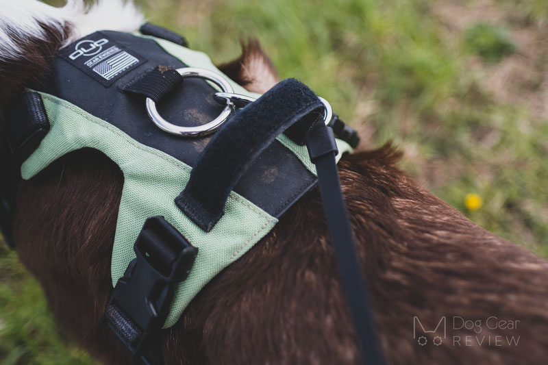 DUO 'American Eclipse' Adventure Dog Harness Review | Dog Gear Review