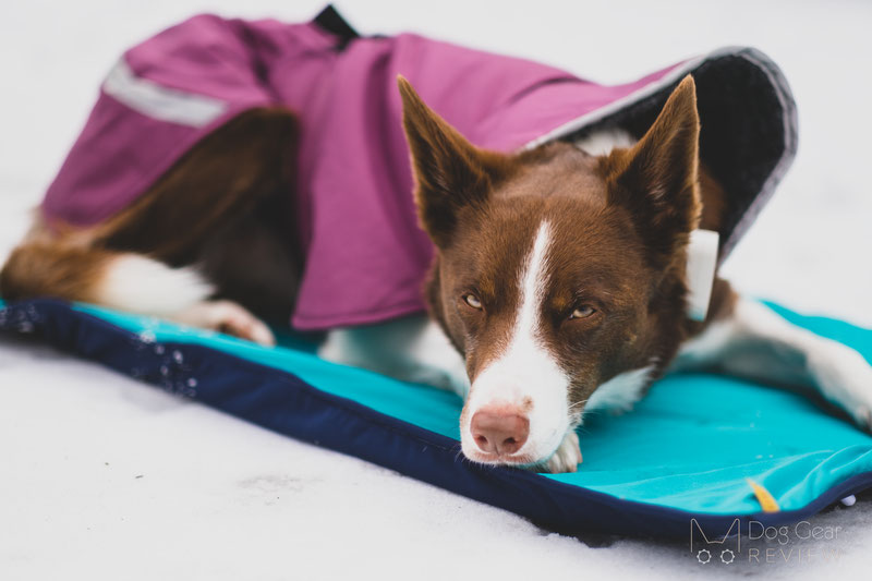 DogWear Adventure Mat Review | Dog Gear Review