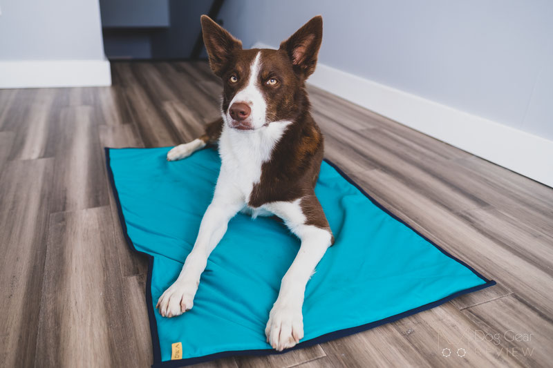 DogWear Adventure Mat Review | Dog Gear Review