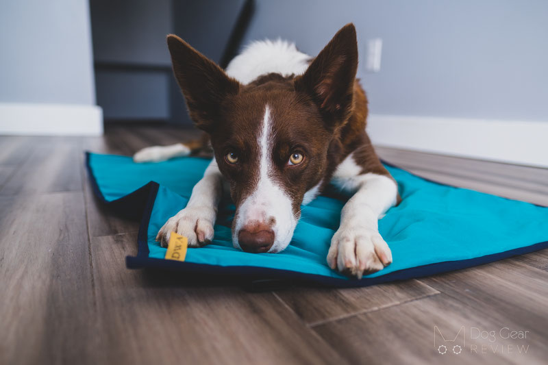 DogWear Adventure Mat Review | Dog Gear Review