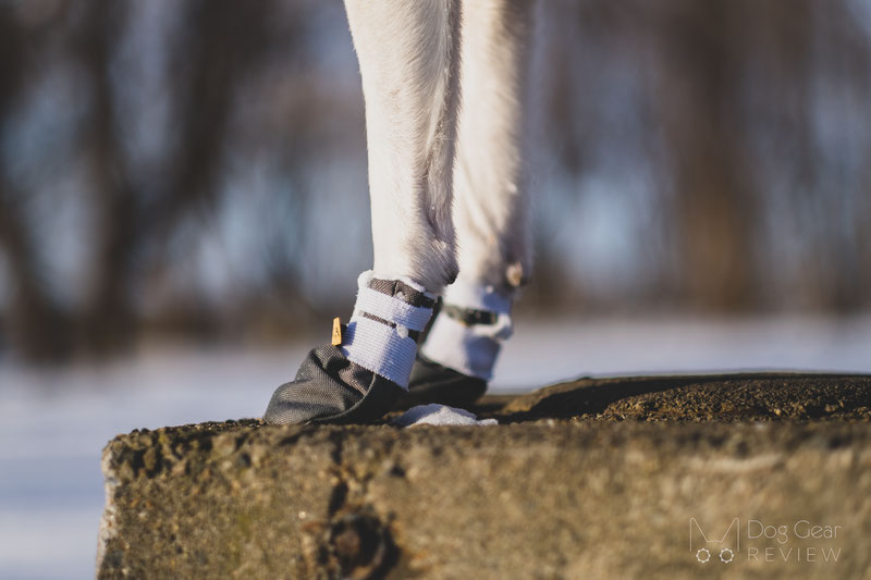 DogWear Adventure Winter Boots Review | Dog Gear Review