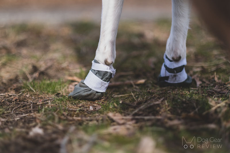 DogWear Adventure Winter Boots Review | Dog Gear Review