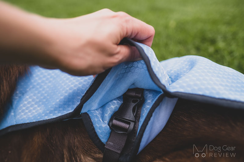 EQDOG Cool Dog Vest Review | Dog Gear Review