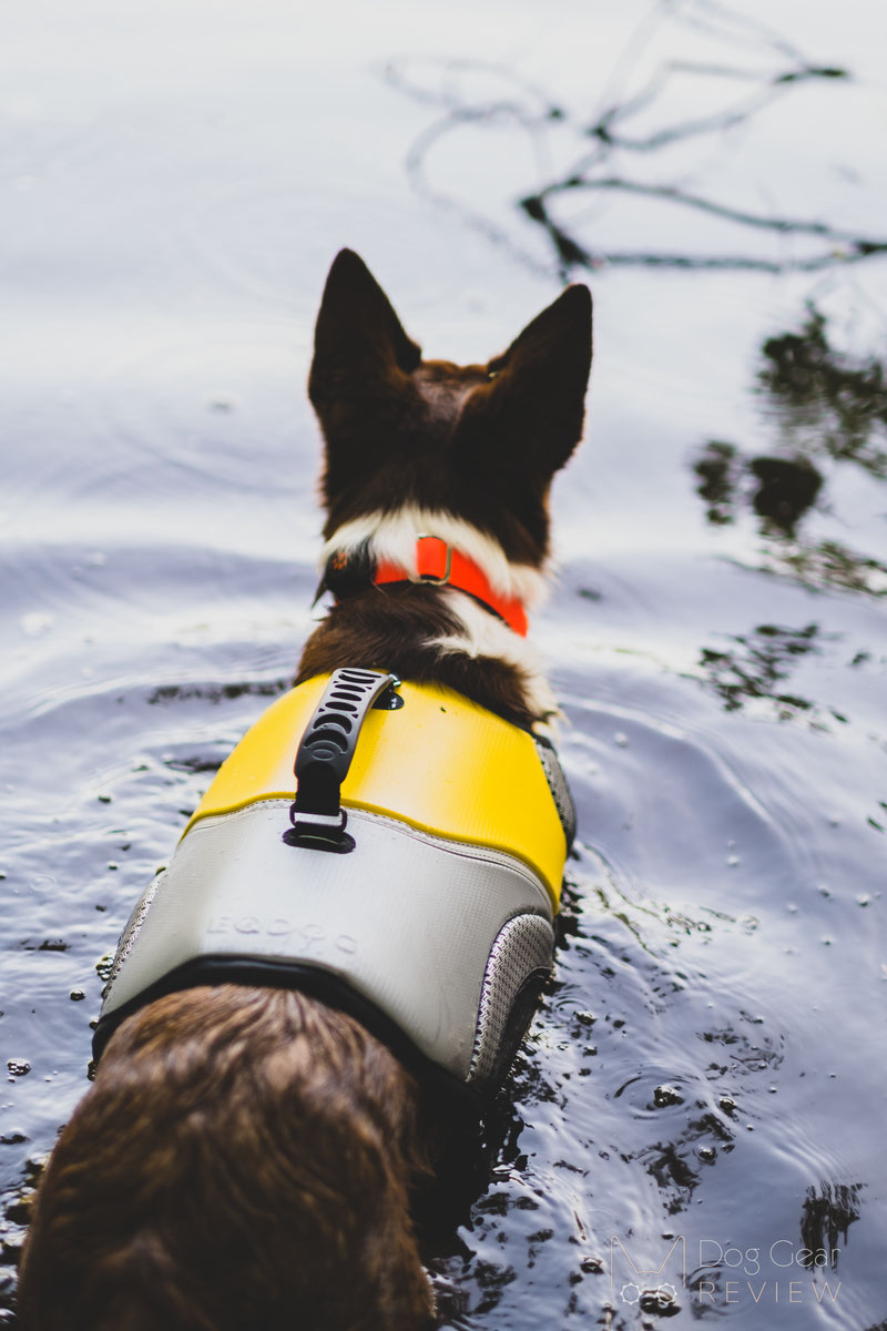 EQDOG Pro Life Vest Review | Dog Gear Review