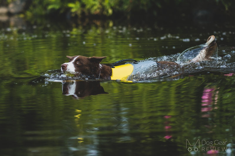 EQDOG Pro Life Vest Review | Dog Gear Review