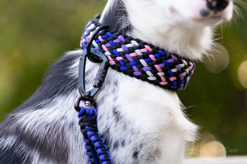 Paracord Small-Dog Collar - Durable & Stylish