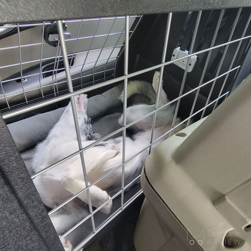 Ferplast Atlas Scenic SUV Dog Crate Review | Dog Gear Review