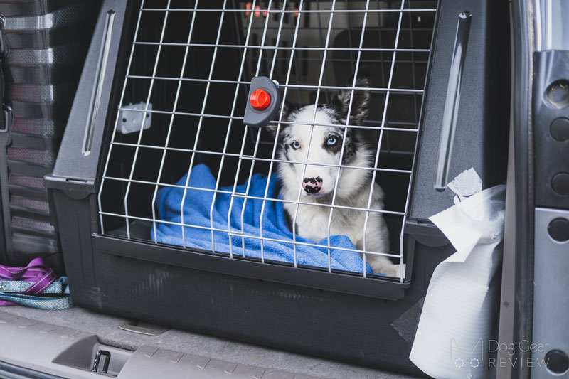 Suv store dog crates