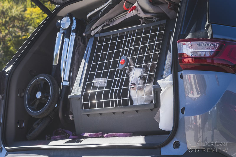 Suv on sale dog crate