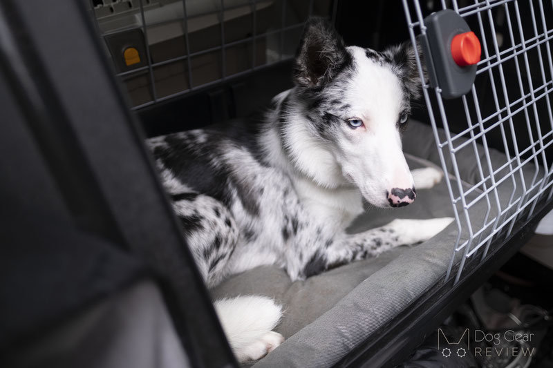 Ferplast Atlas Scenic SUV Dog Crate Review | Dog Gear Review