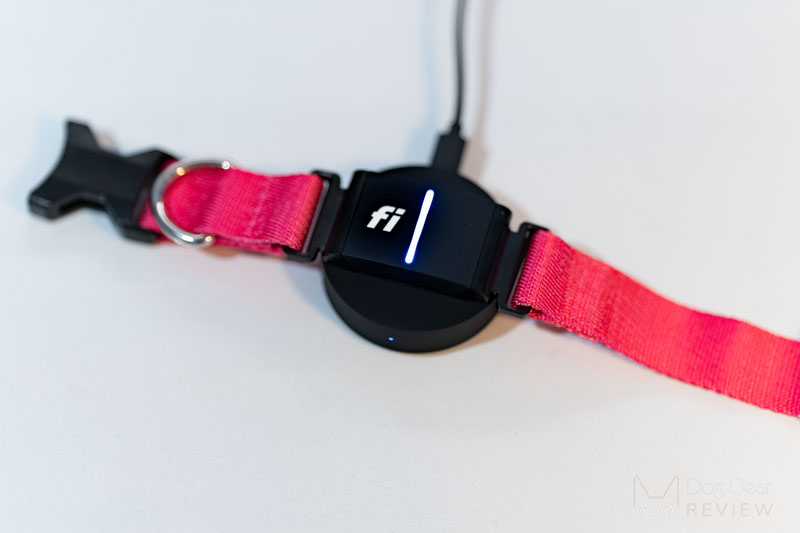  Fi 3 Smart Collar and Activity Tracker Review | Dog Gear Review