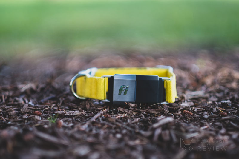 Fi 1.0 Smart Collar and Activity Tracker Review | Dog Gear Review