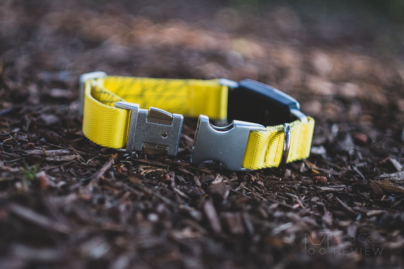 Fi 1.0 Smart Collar and Activity Tracker Review | Dog Gear Review