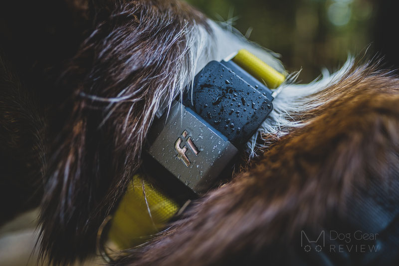 Fi 1.0 Smart Collar and Activity Tracker Review | Dog Gear Review