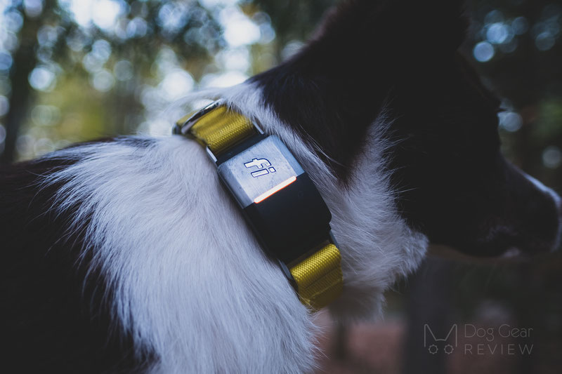 Fi 1.0 Smart Collar and Activity Tracker Review | Dog Gear Review