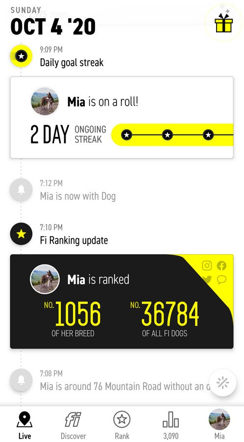 Fi dog 2024 collar app