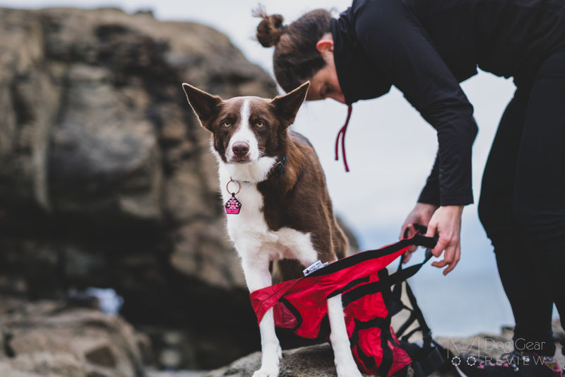 Fido Pro Airlift Emergency Dog Rescue Sling Review | Dog Gear Review