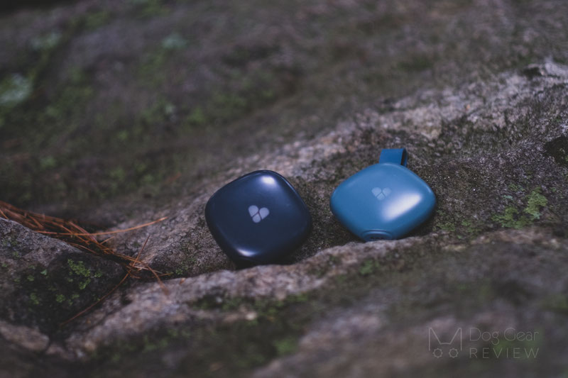 Findster Duo GPS Tracker and Activity Monitor Review