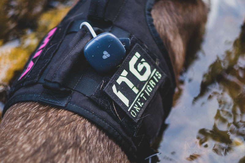 Findster Duo GPS Tracker and Activity Monitor Review | Dog Gear Review