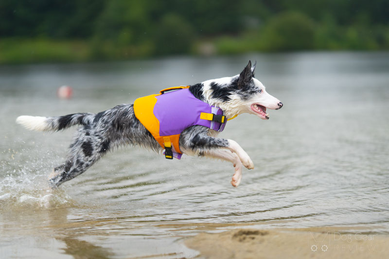 FunnyFuzzy Dog Life Jacket Review | Dog Gear Review