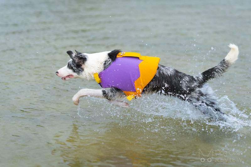 FunnyFuzzy Dog Life Jacket Review | Dog Gear Review