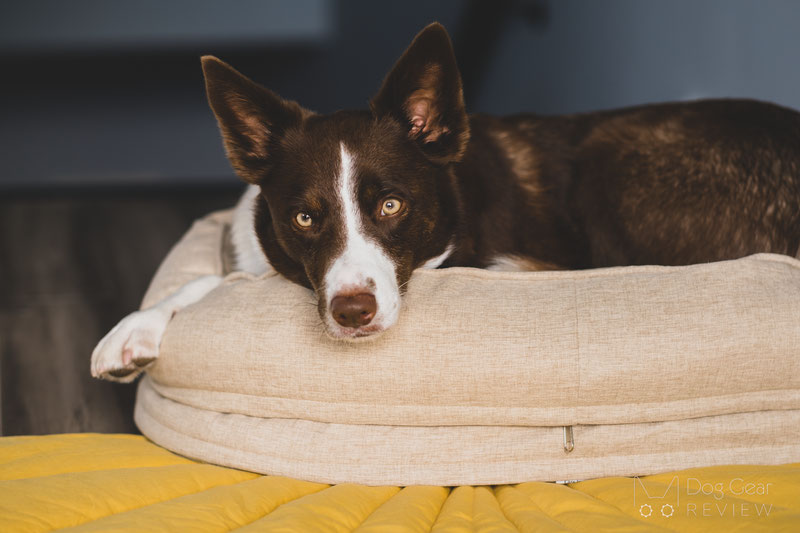 FunnyFuzzy Donut Bed Review