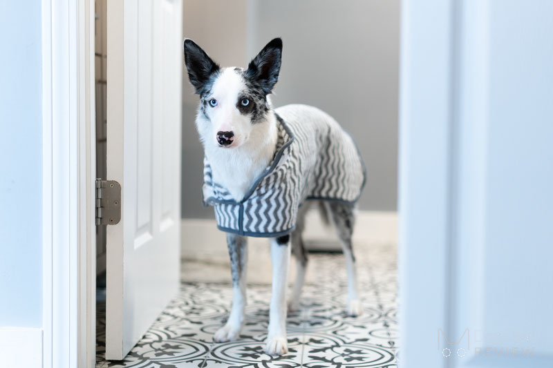 FunnyFuzzy Dog Bath Towel Review | Dog Gear Review