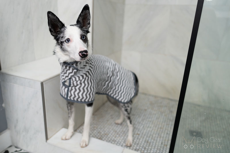 FunnyFuzzy Dog Bath Towel Review | Dog Gear Review