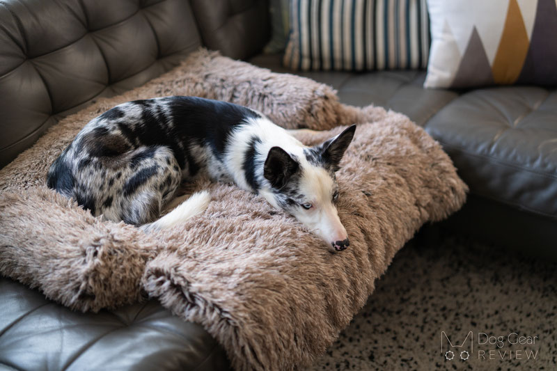 FunnyFuzzy Calming Furniture Protector Dog Bed Review | Dog Gear Review