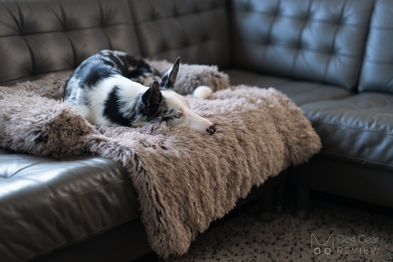 FunnyFuzzy Calming Furniture Protector Dog Bed Review | Dog Gear Review