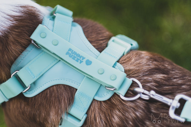 FunnyFuzzy Gummy Dog Walk Set Review | Dog Gear Review