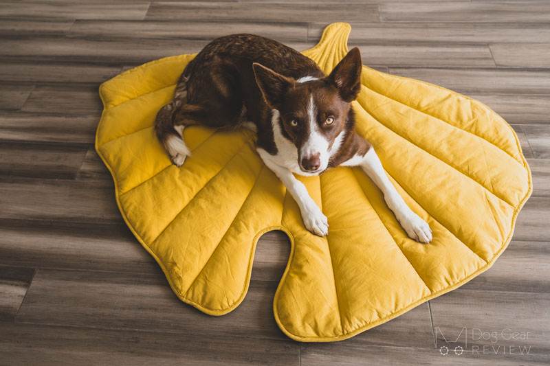 Leaf Shape Dog Blanket, Pinecone Brown