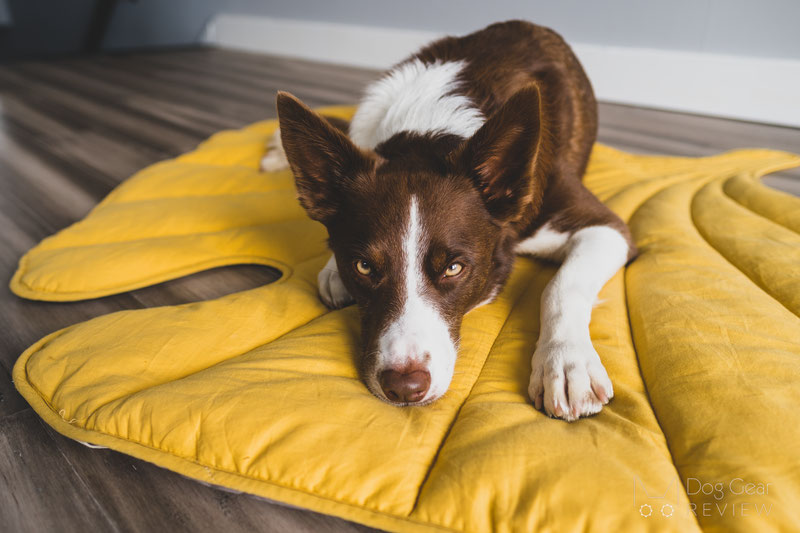 Leaf Shape Dog Blanket, Pinecone Brown