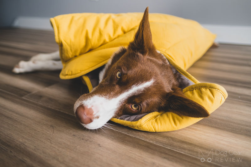 Leaf Shape Dog Blanket, Pinecone Brown