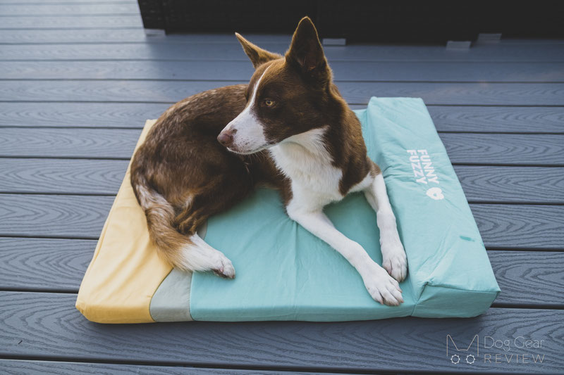 FunnyFuzzy Ocean Dog Bed Review | Dog Gear Review