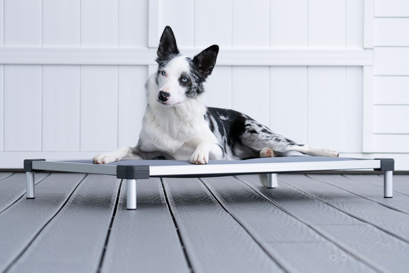 FXW Titanest Chew-Proof Elevated Dog Bed Review | Dog Gear Review