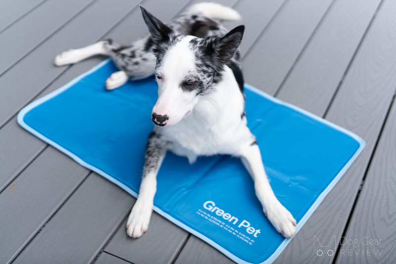 Green Pet Cool Pet Pad Review | Dog Gear Review